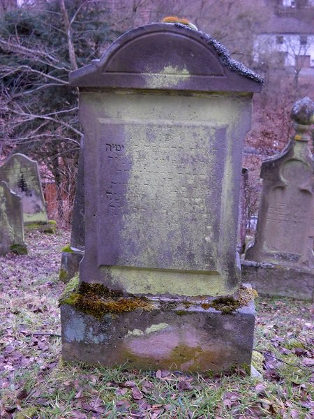 Grab von Ida Rosenstock